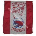 drapeau-losc-8