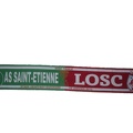 ech-asse-losc-cdl-1213