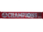 ech-champion-2011-work